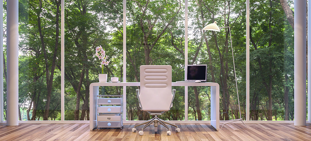 Office with natural light and greenery