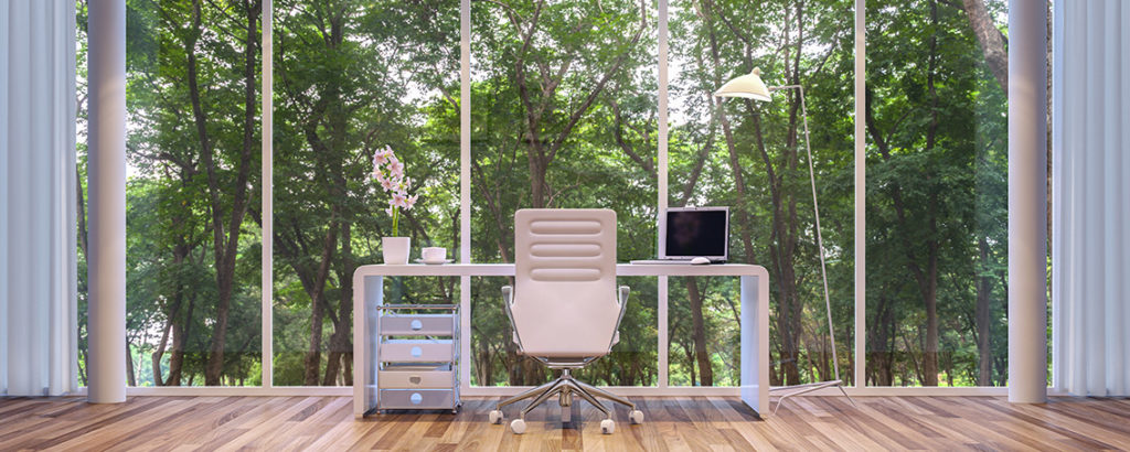 Office with natural light and greenery