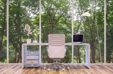 Office with natural light and greenery