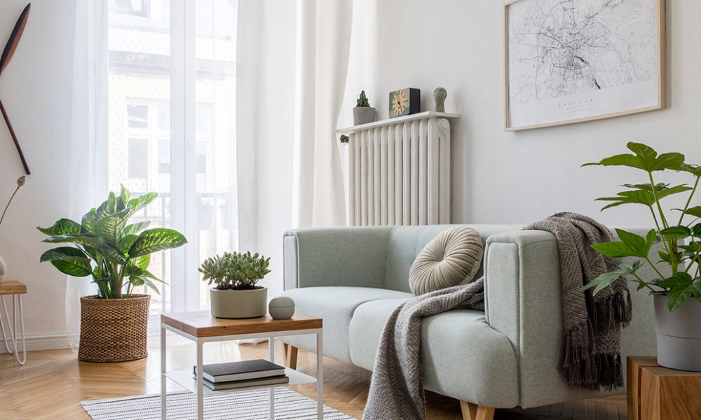 Cosy apartment home filled with plants and rugs and natural light