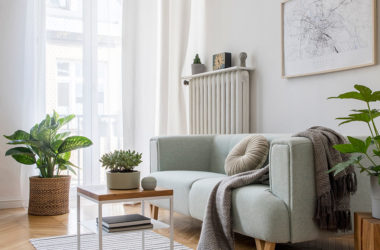 Cosy apartment home filled with plants and rugs and natural light