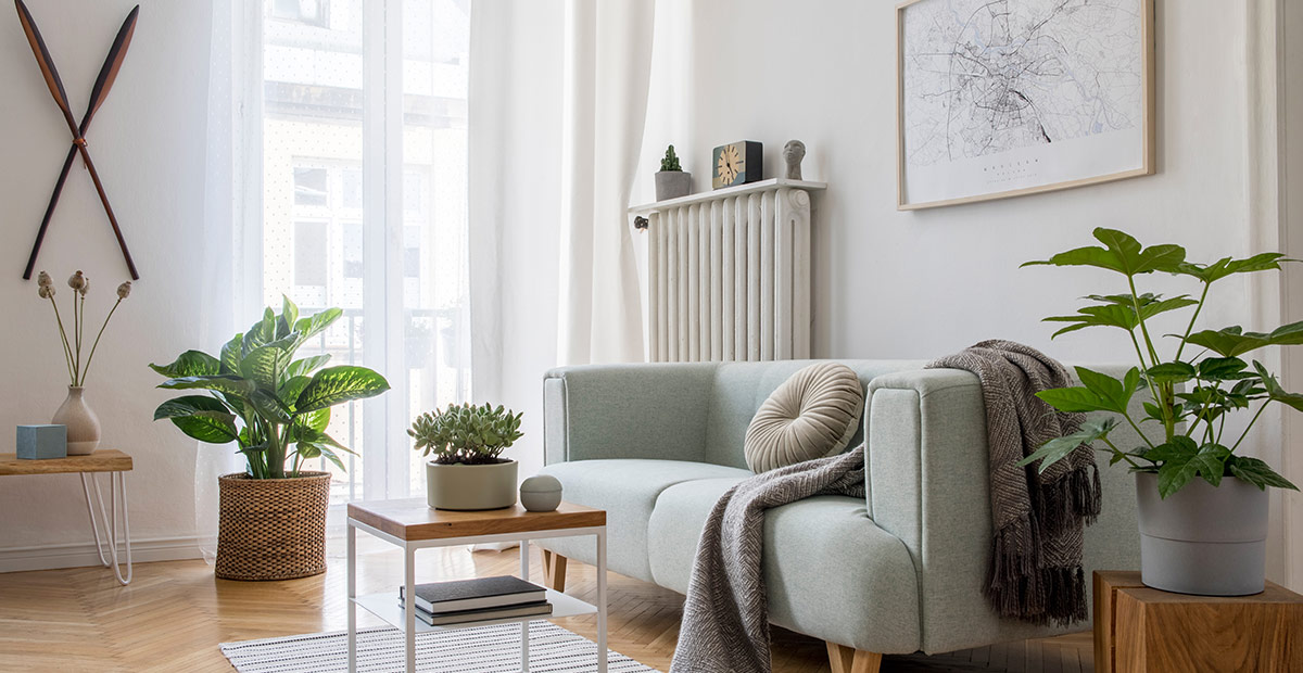 Cosy apartment home filled with plants and rugs and natural light